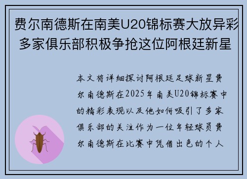 费尔南德斯在南美U20锦标赛大放异彩 多家俱乐部积极争抢这位阿根廷新星 费尔南德斯在南美U20锦标赛大放异彩 多家俱乐部积极争抢这位阿根廷新星